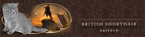 cattery House of Briton